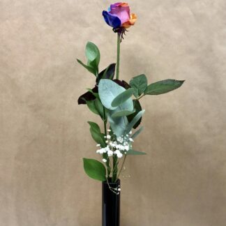 1 Rainbow Rose Vase