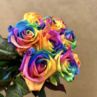 10 Rainbow Roses