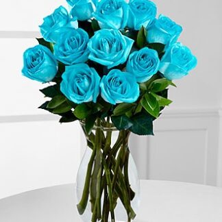 12 Turquoise Roses