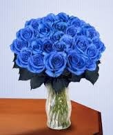 24 Blue Rose Vase