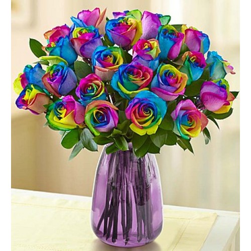 24 Rainbow Rose Vase