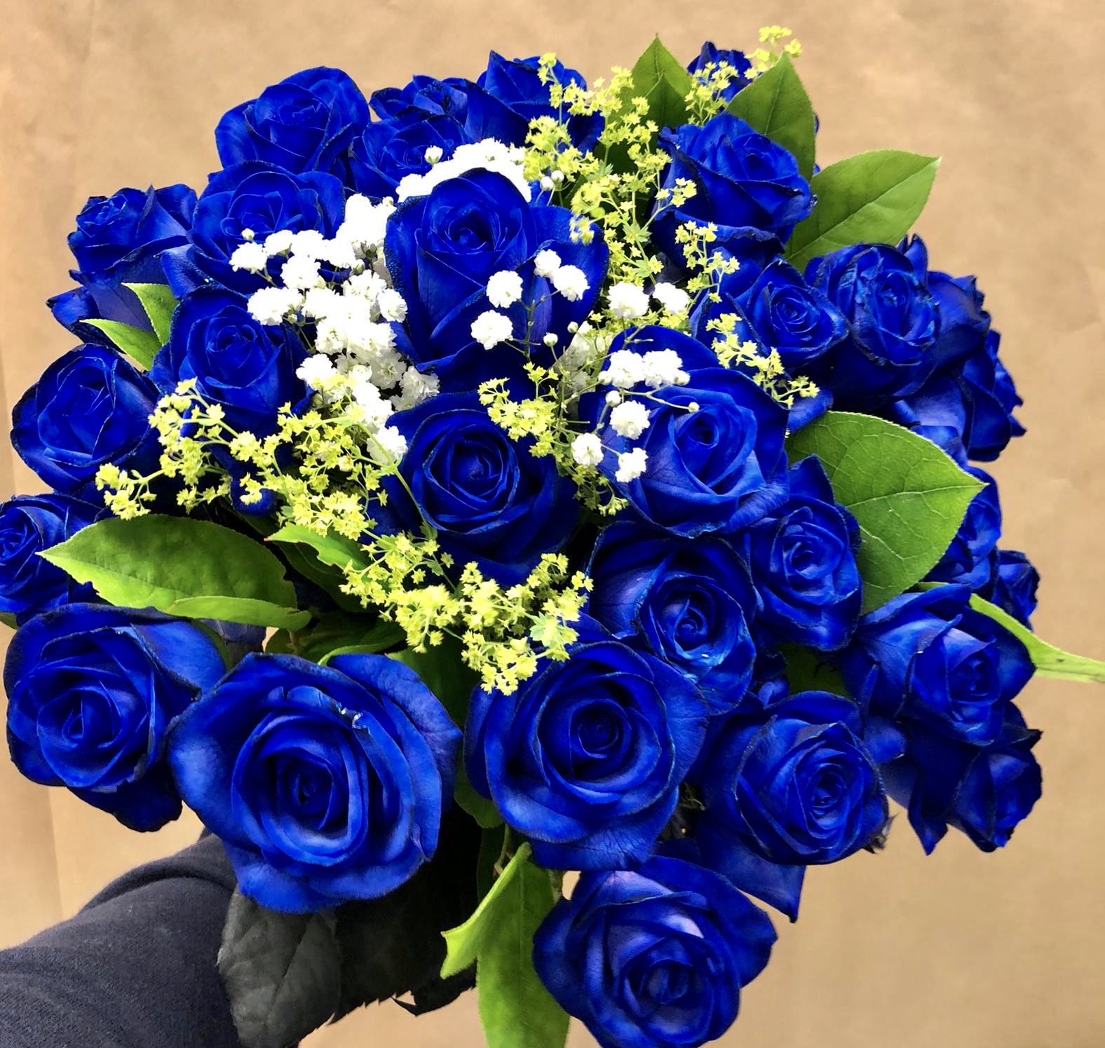 30 Blue Roses
