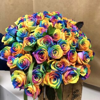 50 Rainbow Roses
