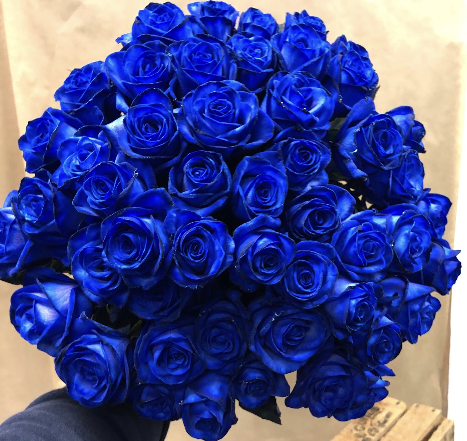 48 Blue Roses