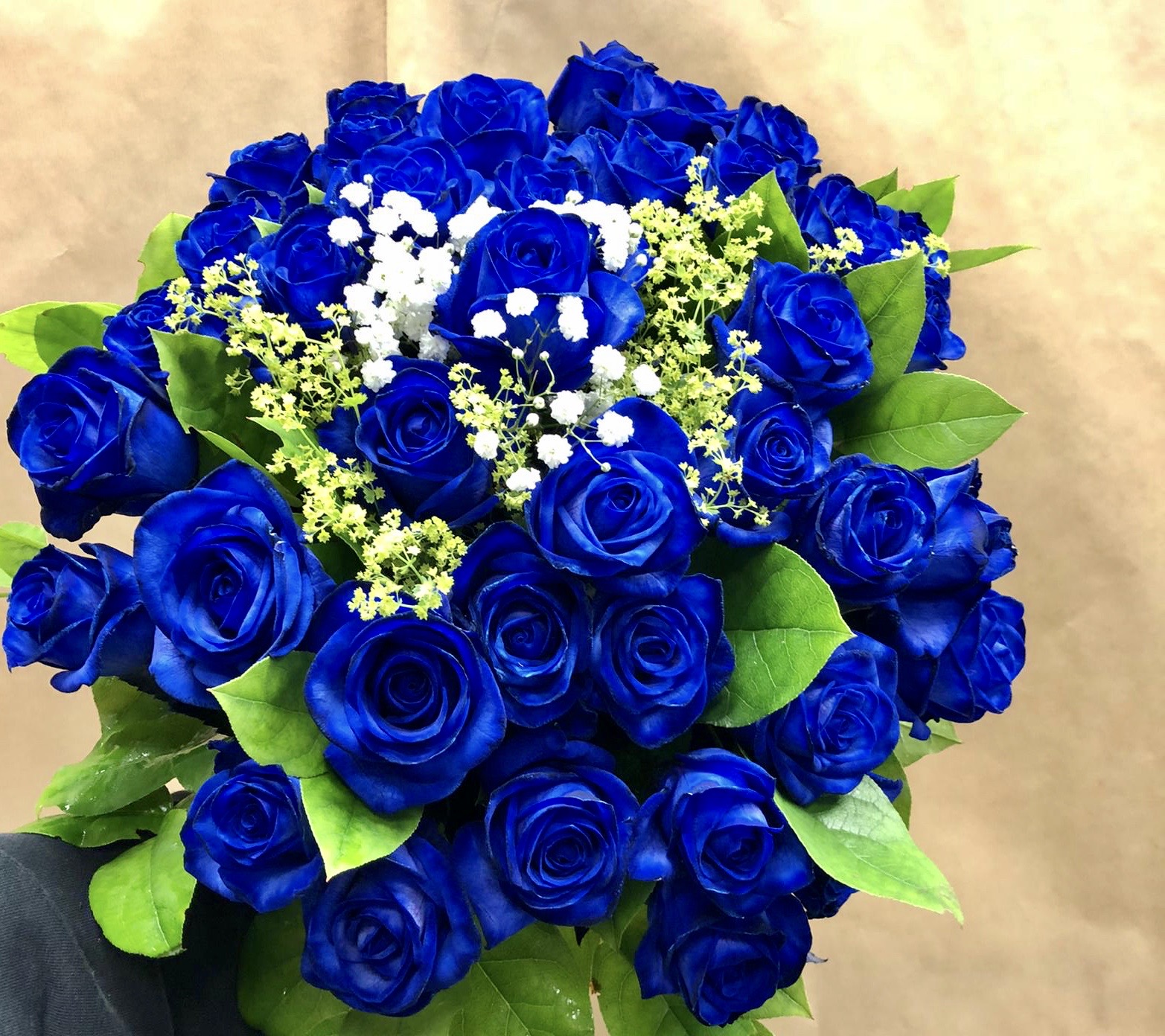 48 Blue Roses