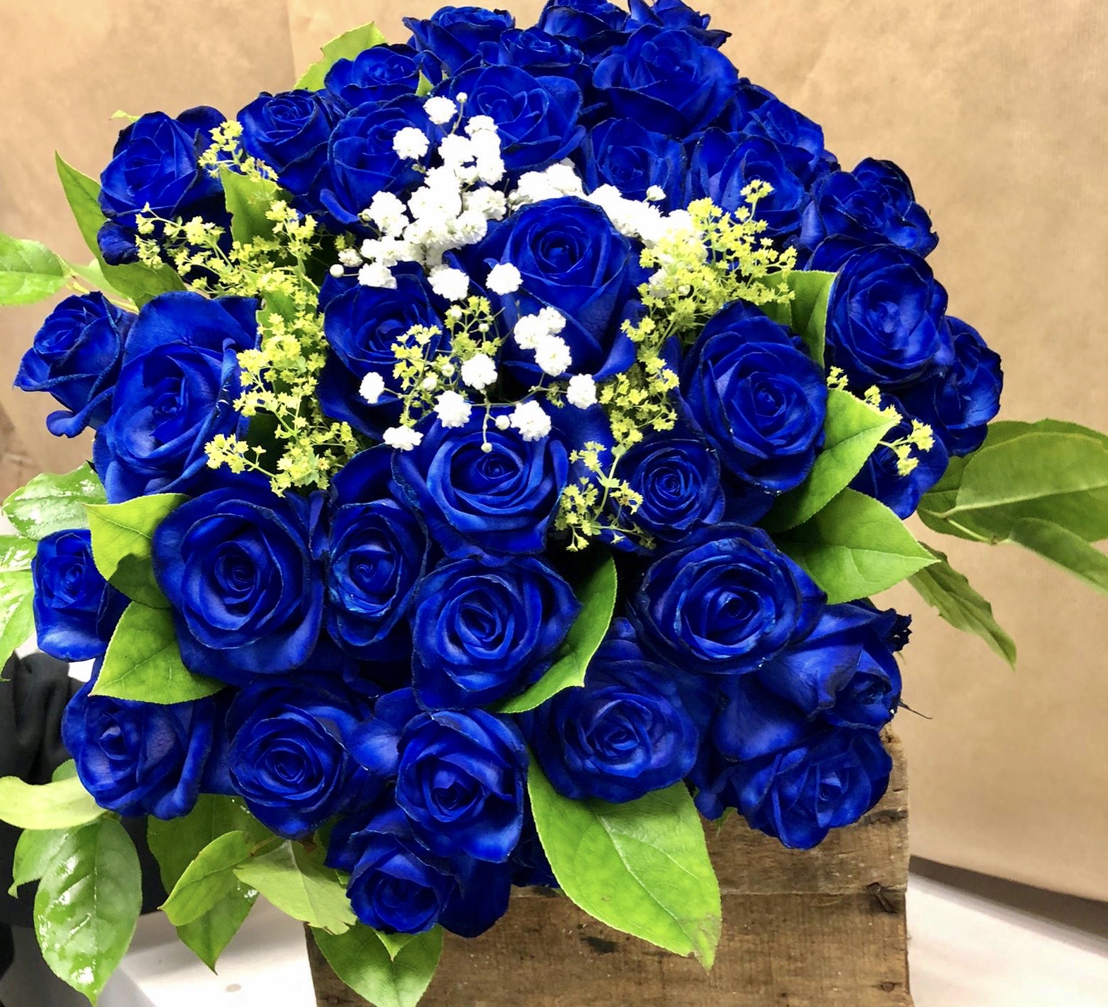 50 Blue Roses
