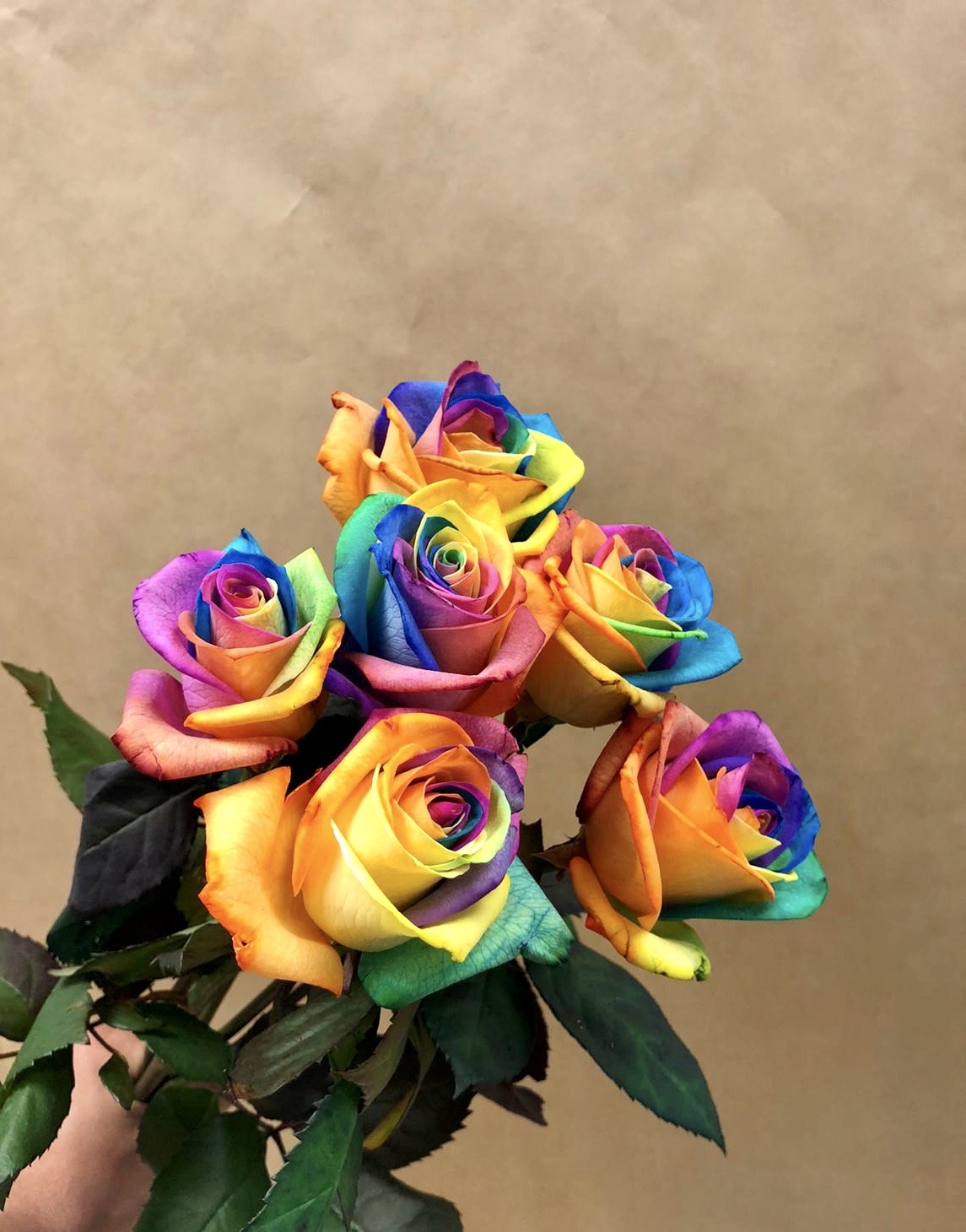 6 Rainbow Roses