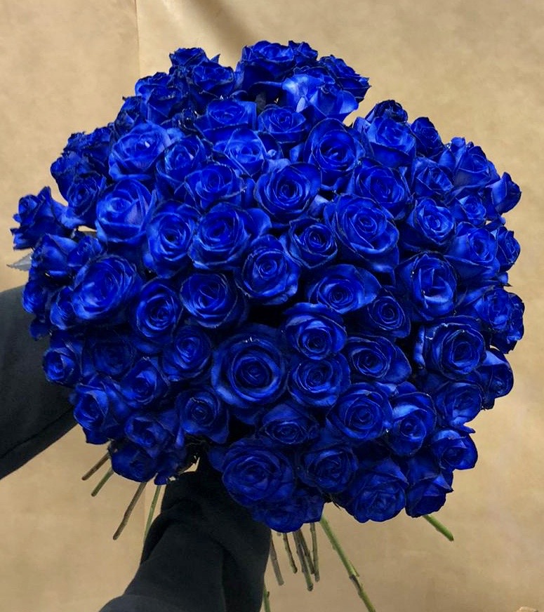 60 Blue Roses