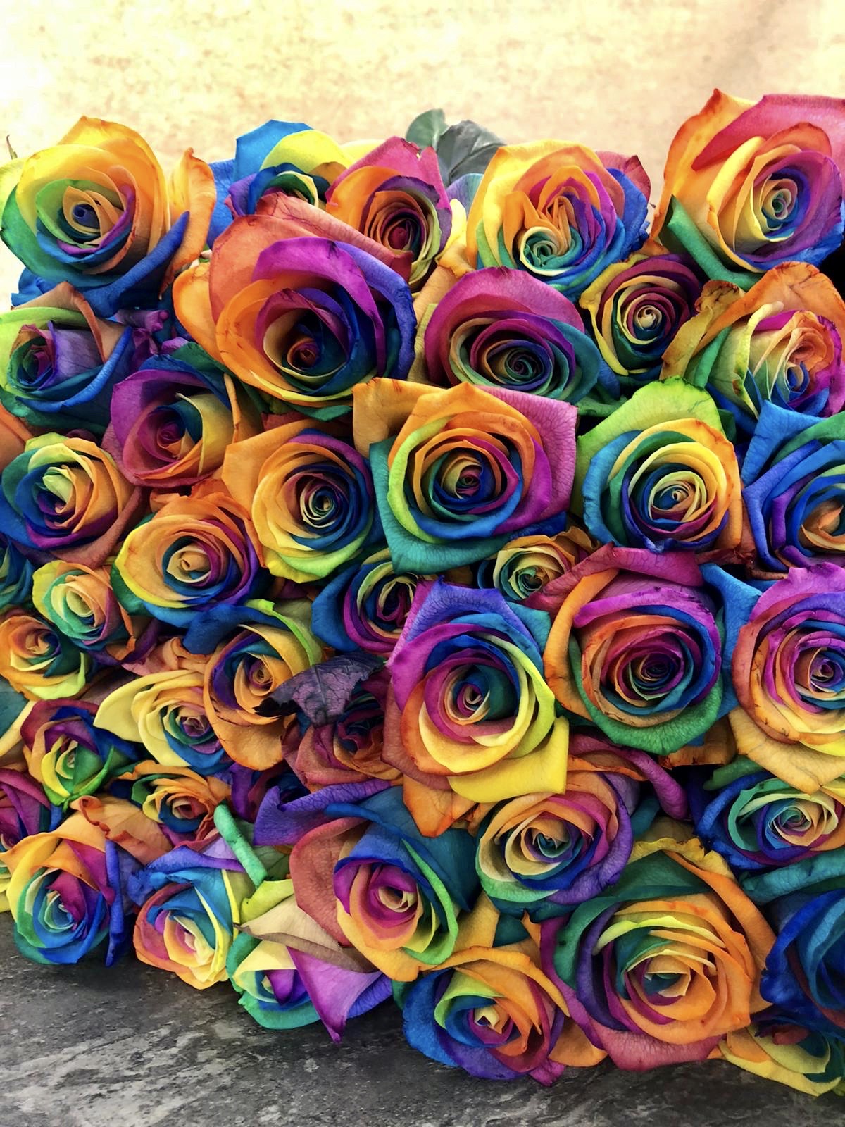 60 Rainbow Roses