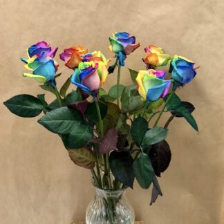 9 Rainbow Rose Vase Arrangement