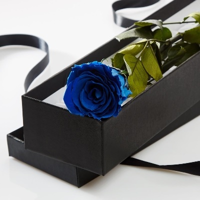 Blue Rose In A Presentation Box
