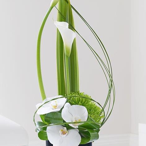 Cool Calla Lily and Orchid Swirl Arrangement