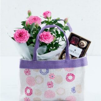 Pink Rose Plant Gift Bag